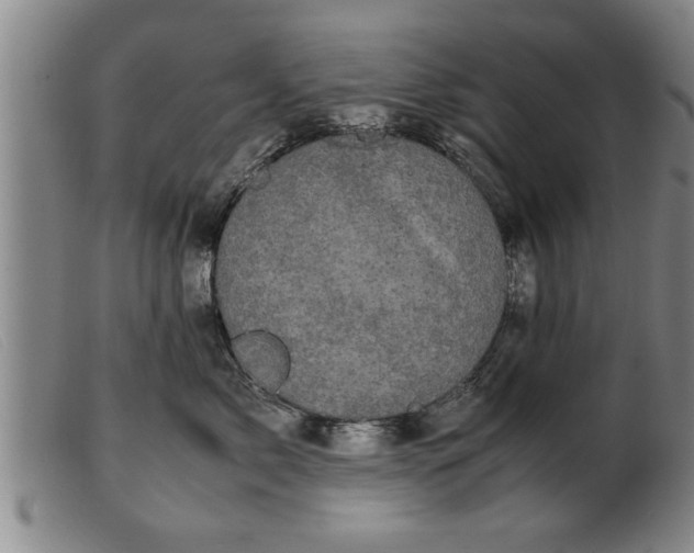 X0000099470717200805231830