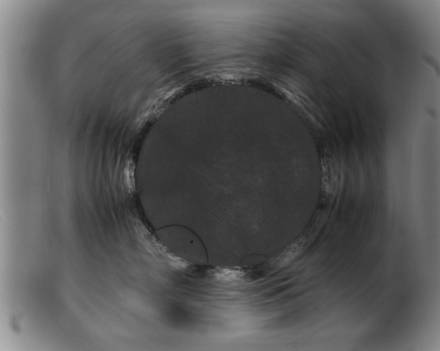 X0000099470718200805231830