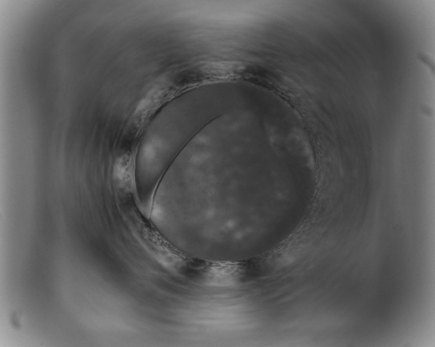 X0000099470720200805231830