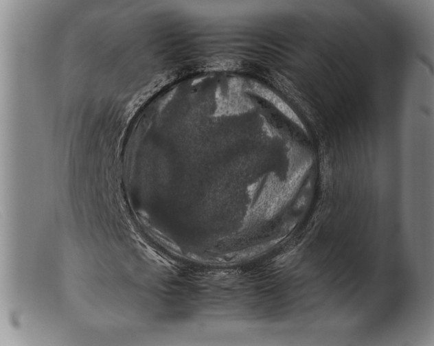 X0000099470721200805231829