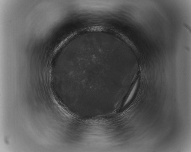 X0000099470722200805231829