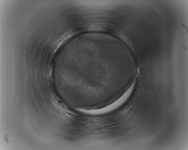 X0000099470723200805231829
