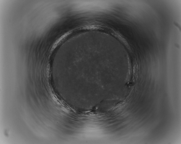 X0000099470724200805231829