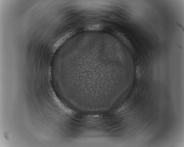 X0000099470725200805231829
