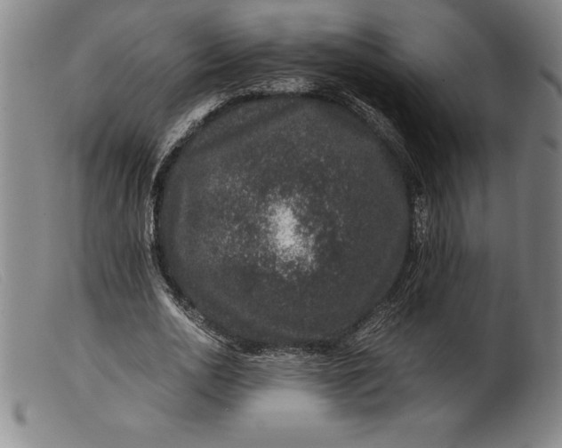 X0000099470726200805231829