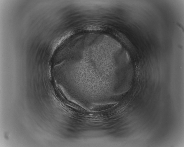 X0000099470727200805231829