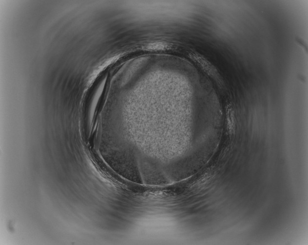 X0000099470728200805231829