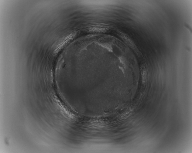 X0000099470729200805231829