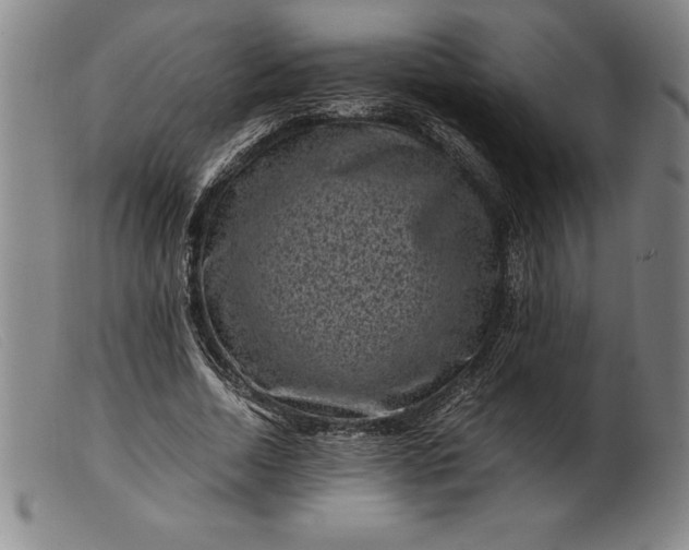 X0000099470730200805231829