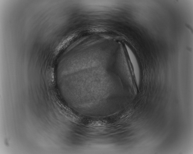 X0000099470731200805231829