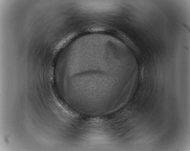 X0000099470732200805231829