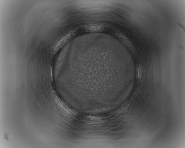 X0000099470733200805231829