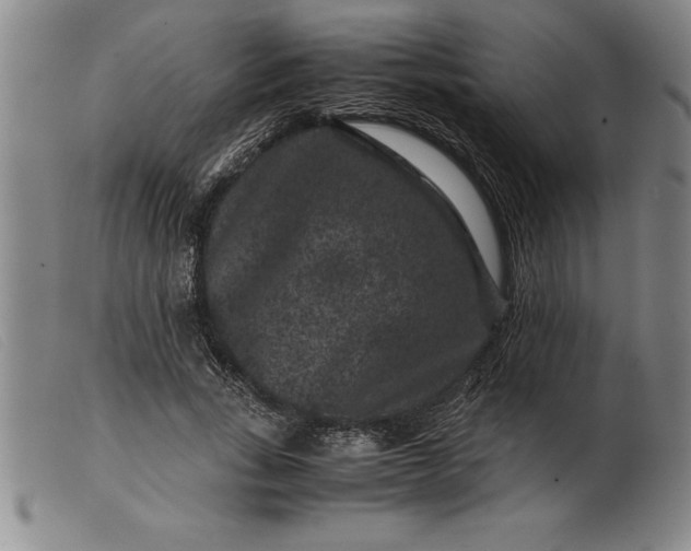 X0000099470735200805231829
