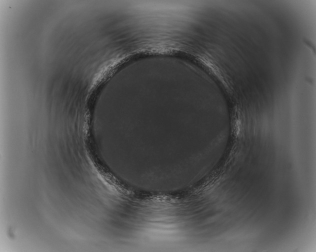 X0000099470736200805231829