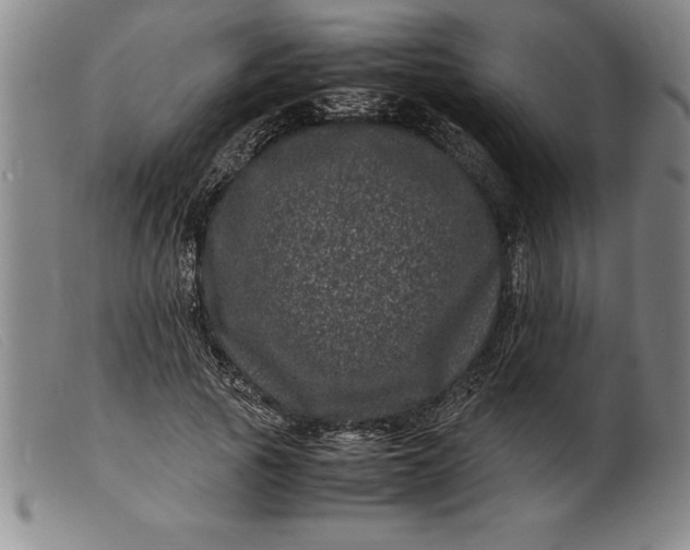 X0000099470737200805231829