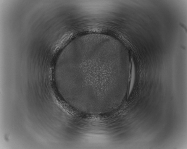 X0000099470738200805231829