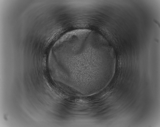 X0000099470739200805231830