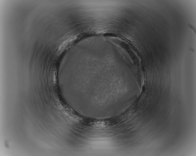 X0000099470740200805231830