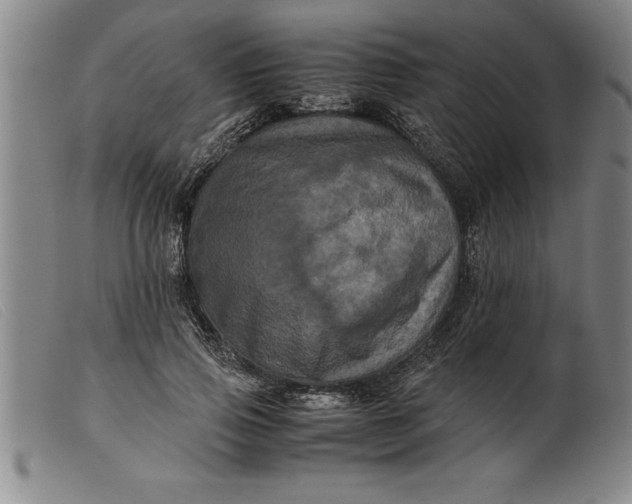 X0000099470741200805231830