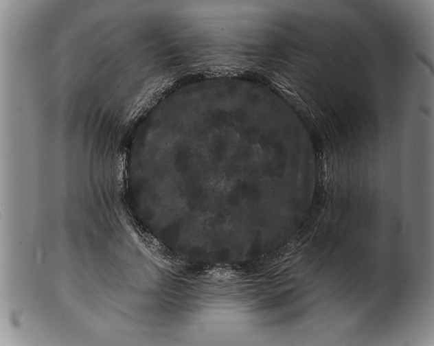 X0000099470742200805231830