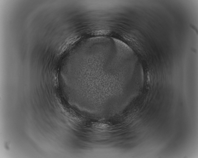 X0000099470743200805231830