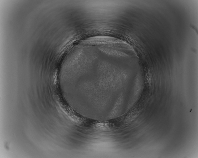 X0000099470744200805231830