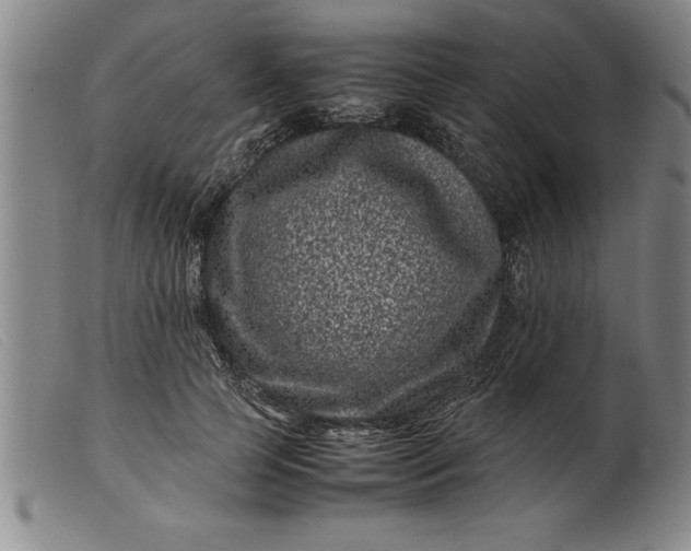 X0000099470745200805231830