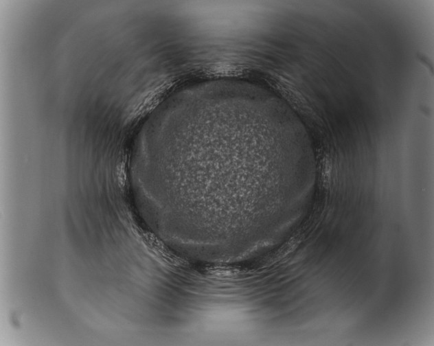 X0000099470746200805231830