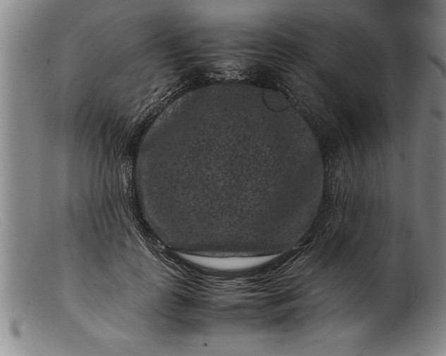 X0000099470747200805231830