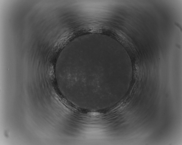 X0000099470748200805231830