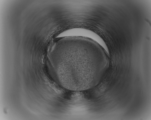 X0000099470750200805231830