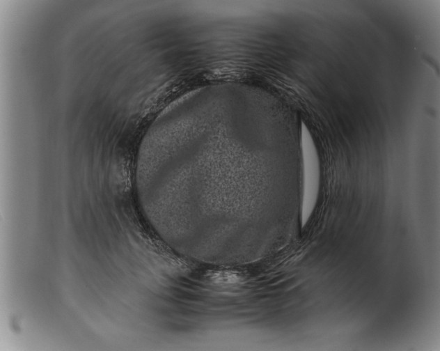 X0000099470751200805231830