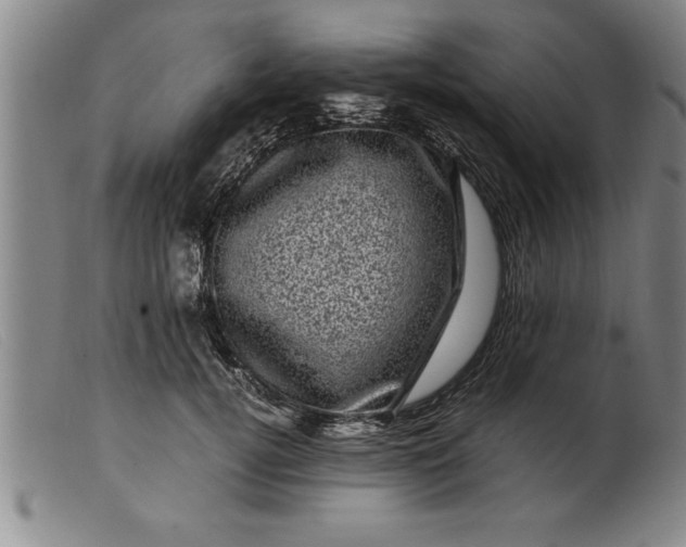 X0000099470752200805231830