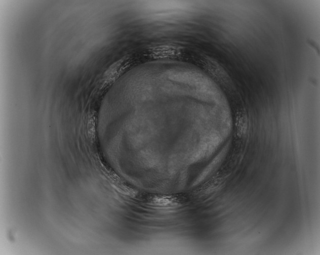 X0000099470753200805231830