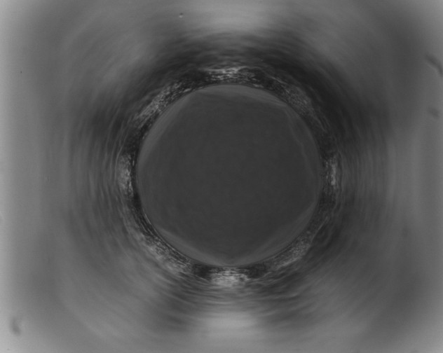 X0000099470754200805231830