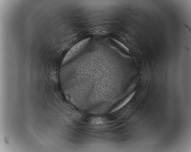 X0000099470755200805231830