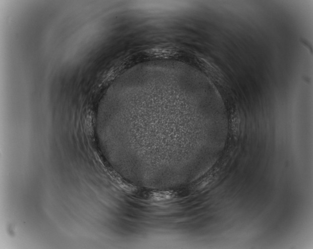 X0000099470757200805231830