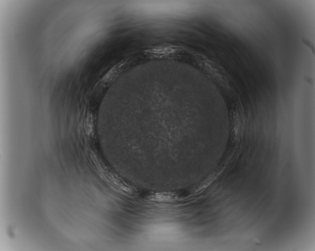 X0000099470758200805231830