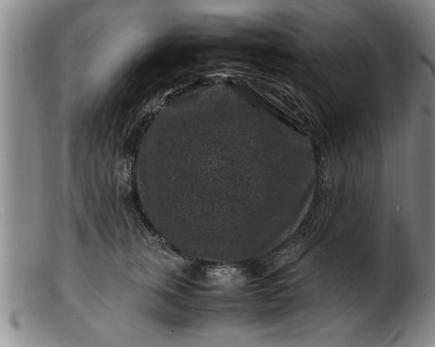 X0000099470759200805231830