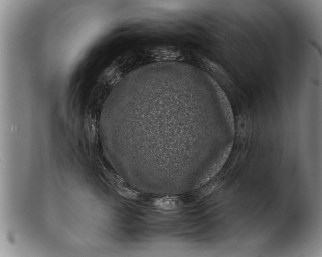 X0000099470761200805231830