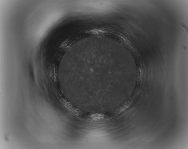X0000099470762200805231830
