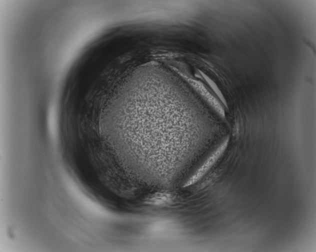 X0000099470764200805231830