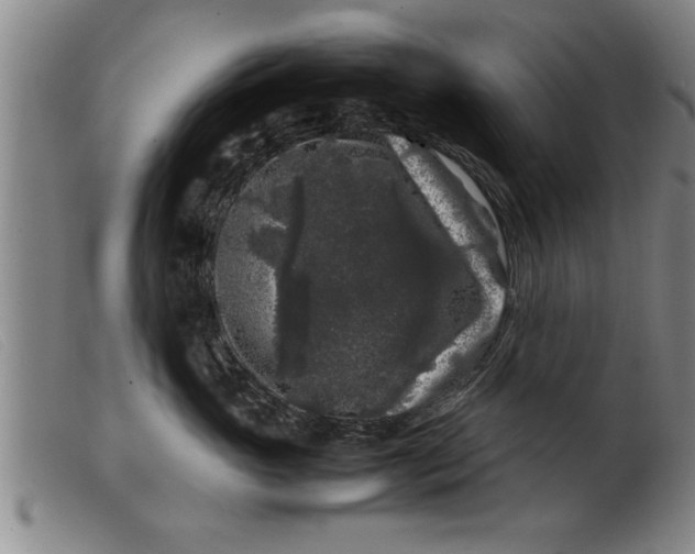 X0000099470765200805231830