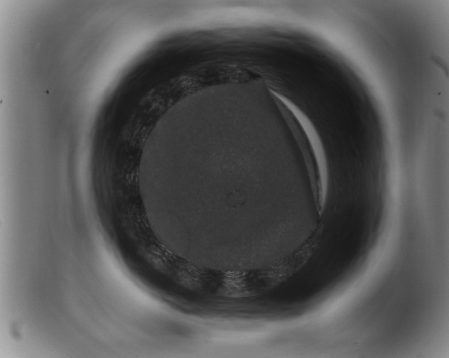 X0000099470766200805231830