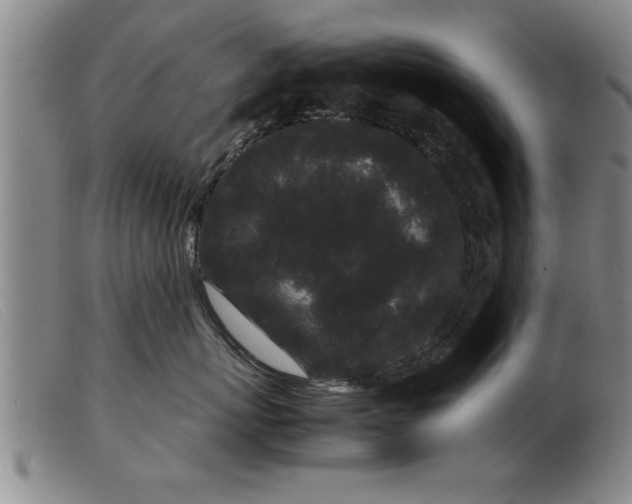 X0000099470767200805231830