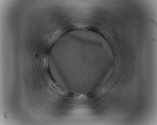 X0000099470768200805231830