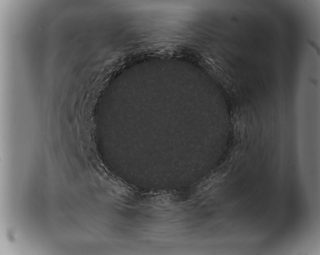 X0000099470769200805231829