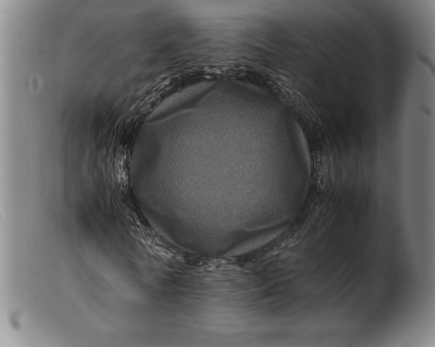 X0000099470770200805231829