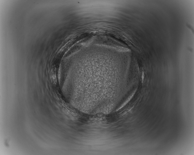 X0000099470771200805231829