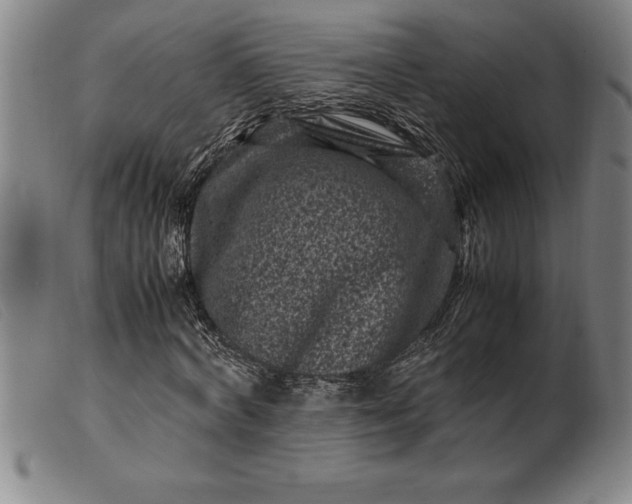 X0000099470772200805231829